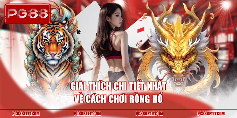 Giải thích chi tiết nhất về cách chơi rồng hổ
