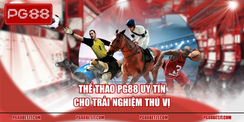 Thể thao PG88 uy tín cho trải nghiệm thú vị