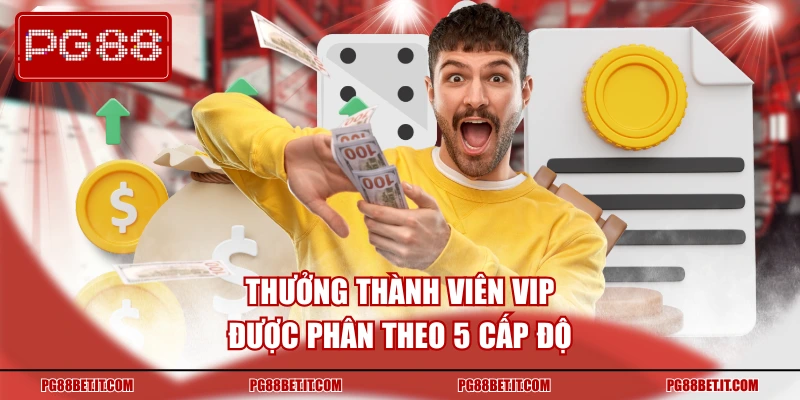 Thưởng thành viên VIP được phân theo 5 cấp độ