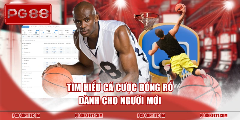 Tìm hiểu cá cược bóng rổ dành cho người mới